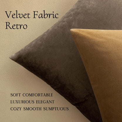 Velvet Throw Pillow Covers 18X18 Inch Pack of 2 Coffee